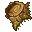 tree trunk