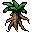 mandrake